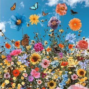 Meet your Posher, Anne